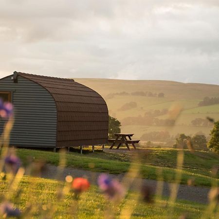 Wild Northumberland Glamping Villa Hexham Dış mekan fotoğraf