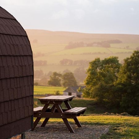 Wild Northumberland Glamping Villa Hexham Dış mekan fotoğraf