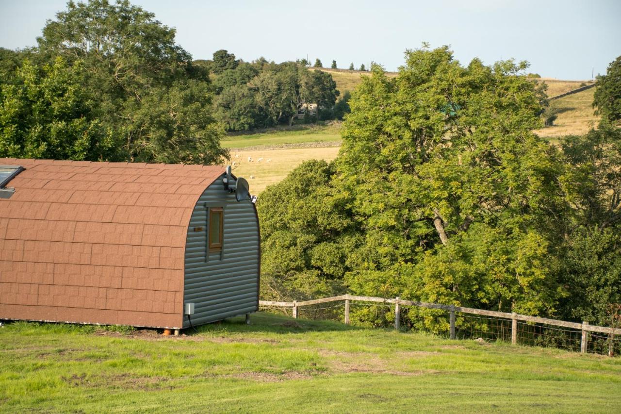 Wild Northumberland Glamping Villa Hexham Dış mekan fotoğraf