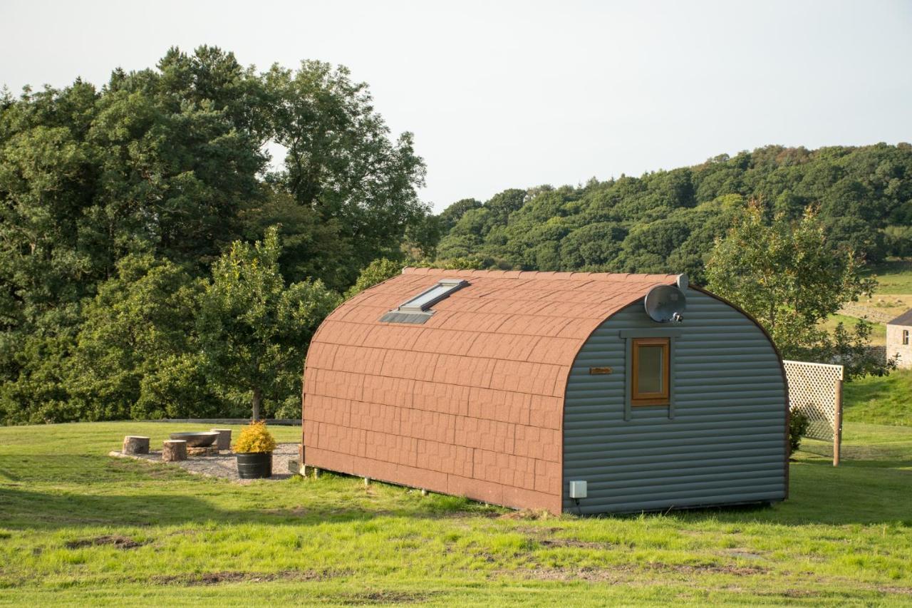 Wild Northumberland Glamping Villa Hexham Dış mekan fotoğraf