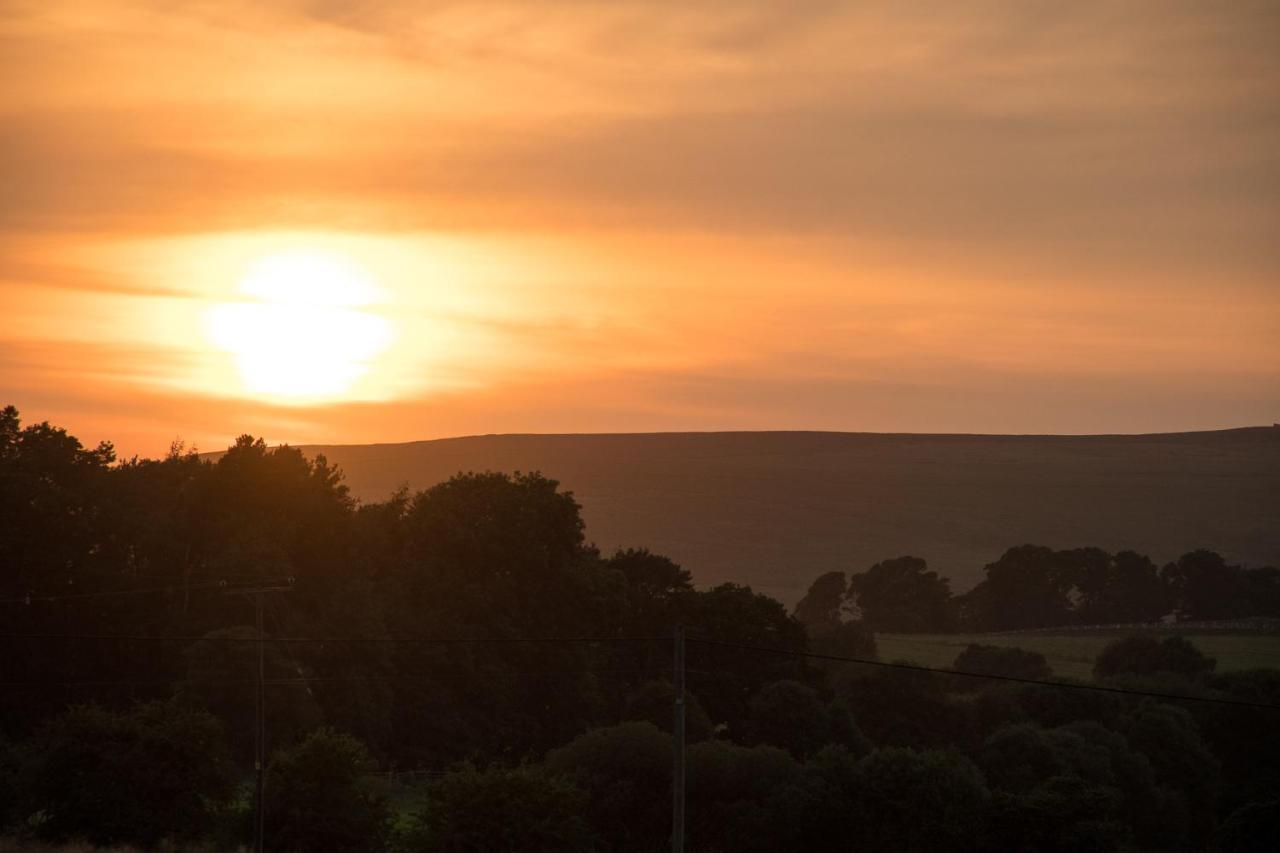 Wild Northumberland Glamping Villa Hexham Dış mekan fotoğraf