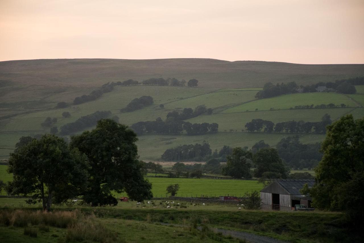 Wild Northumberland Glamping Villa Hexham Dış mekan fotoğraf
